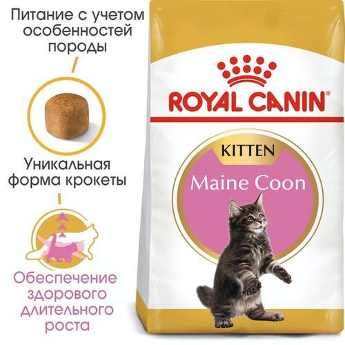 Royal Canin Maine Coon Kitten (Роял Канин Киттен мейн кун) сухой корм для котят 2 кг. Запорожье - изображение 2