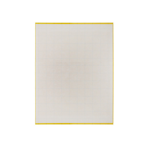 Липкий вкладыш Pomel FTC 30 для LPO Днепр - изображение 1