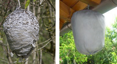 Отпугиватель ос Осиное гнездо ОГ-01 Киев - изображение 4