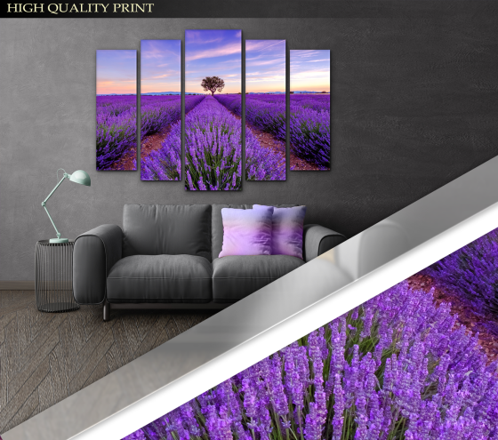 Модульна картина Полі лаванди Art-328_5 ( 80х118см ) Київ