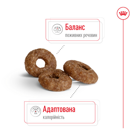 Корм для взрослых собак мелких пород ROYAL CANIN MINI AGEING 12+(возраст от 12 лет) 0.8 кг Киев