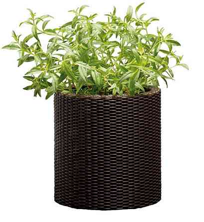 Горщик для квітів Keter 7 л. Cylinder Planter Small, коричневий Київ