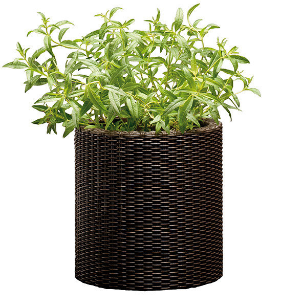 Горщик для квітів Keter 7 л. Cylinder Planter Small, коричневий Київ - фото 1