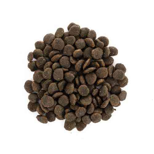 Корм сухий Brit Care Grain Free Mini Yorkshire для йоркширських тер’єрів з лососем та тунцем 400 г Київ