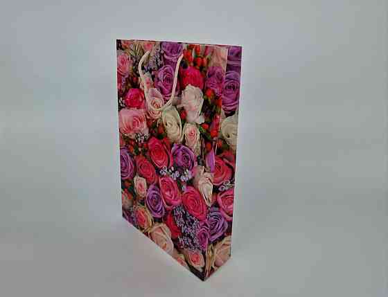 Большой бумажный пакет вертикальный  25/37/8(артBV-195) (12 шт) Харьков