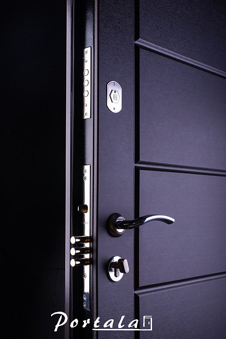 Двери уличные для частного дома, серия Люкс+Кале, крашенный МДФ (RAL8019), модель Токио 850 Киев - изображение 2