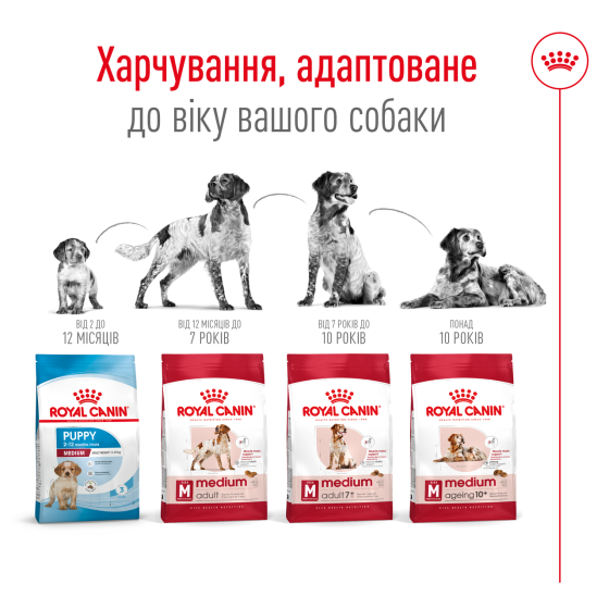 Корм для взрослых собак средних пород ROYAL CANIN MEDIUM ADULT 7+(от 7 лет) 4 кг Киев