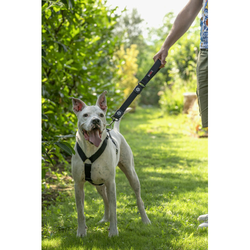 Шлей GimDog для собак Harlem H чорна нейлон 67-90 см/25 мм Київ - фото 2