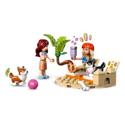 Конструктор LEGO Friends Собачі пригоди на серфі та скутері (42641) Вінниця