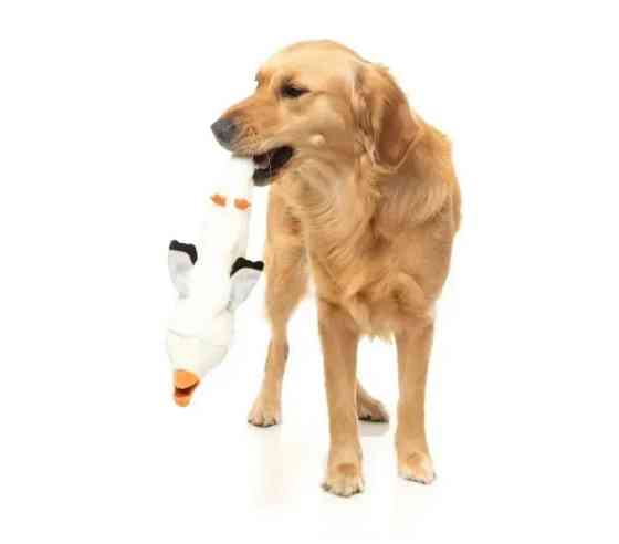 М'яка іграшка для собак FuzzYard Чайка Луцк