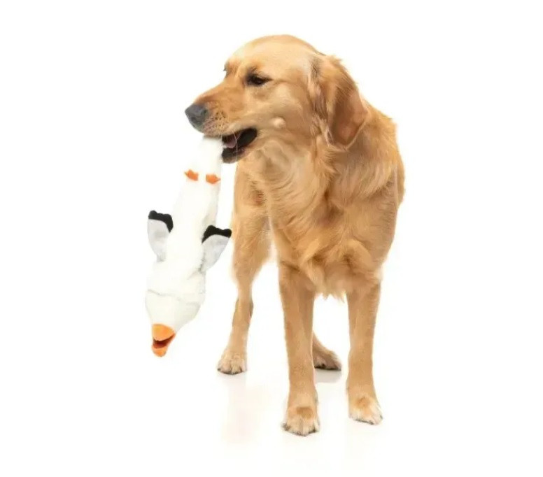 М'яка іграшка для собак FuzzYard Чайка Луцьк - фото 3