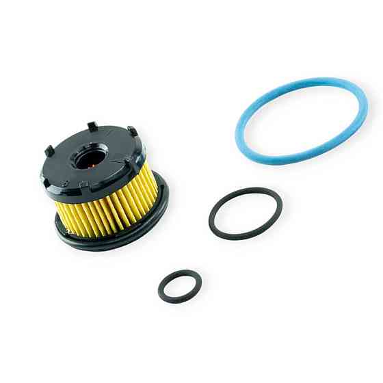 Фильтр клапана газа brc et98 my07 с резинками BRC Мукачево