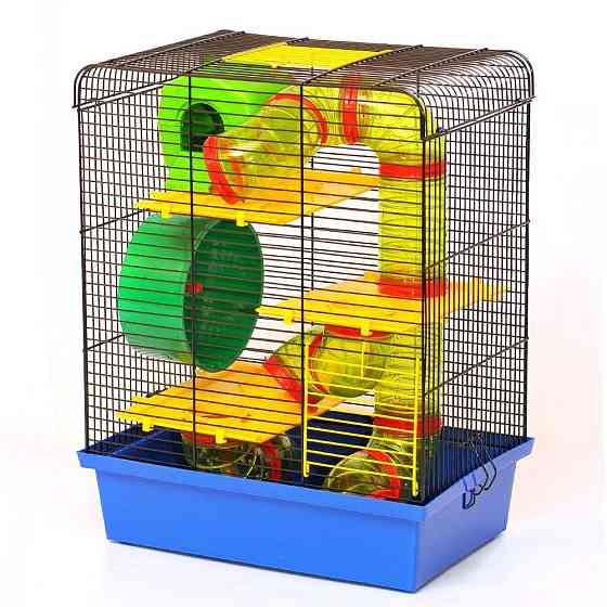 Клітка Хом'як 3 Люкс для сімей малих гризунів з аксесуарами оцинкована (33.5 х 23 х 43 см), Лорі Київ