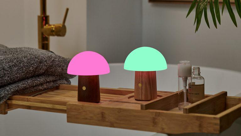 Світильник на акумуляторі Gingko Alice Mushroom Lamp Mini Білий попіл Київ - фото 8