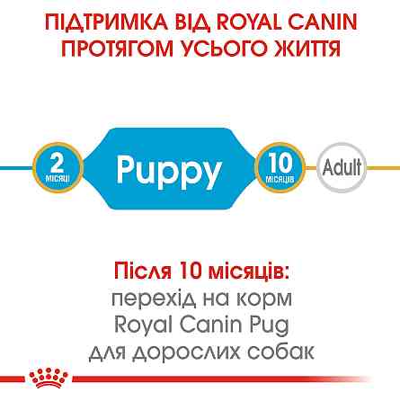 Корм для цуценят породи Мопс ROYAL CANIN PUG PUPPY 1.5 кг Київ