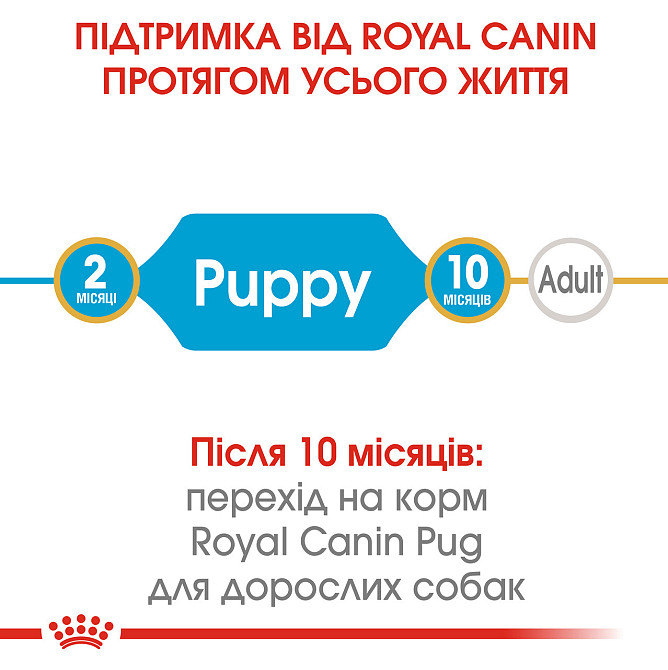 Корм для цуценят породи Мопс ROYAL CANIN PUG PUPPY 1.5 кг Київ - фото 5