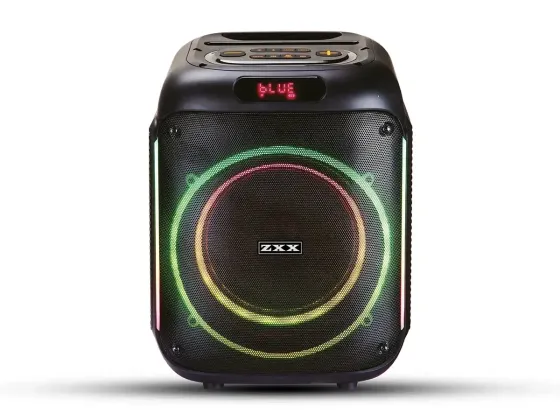 Акустична переносна колонка ZXX-5502 800Вт 1x8" 285х270х365мм TWS/FM/USB/TF/BT/LED/MIC Київ