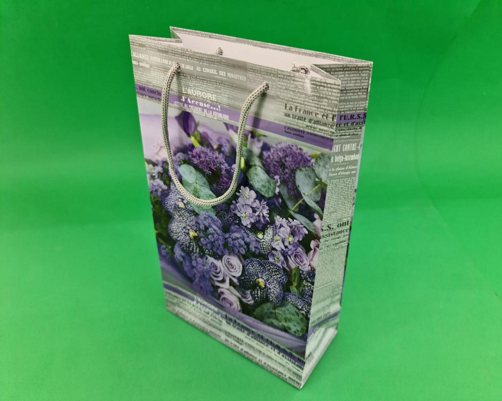 Бумажный пакет подарочный Средний 17/26/8(артSV-209) (12 шт) Харьков - изображение 1