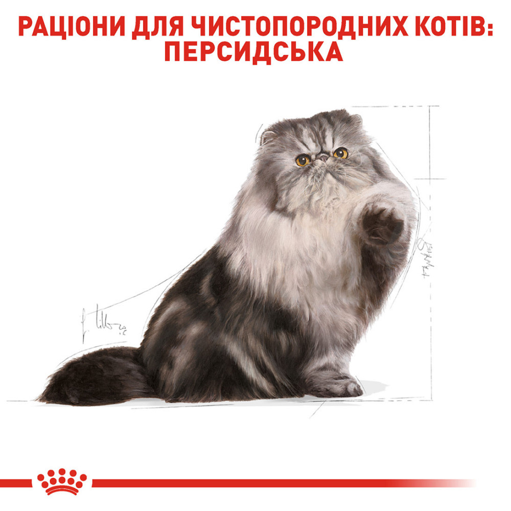Корм для взрослых кошек породы Персидская ROYAL CANIN PERSIAN ADULT 2.0 кг Киев - изображение 3