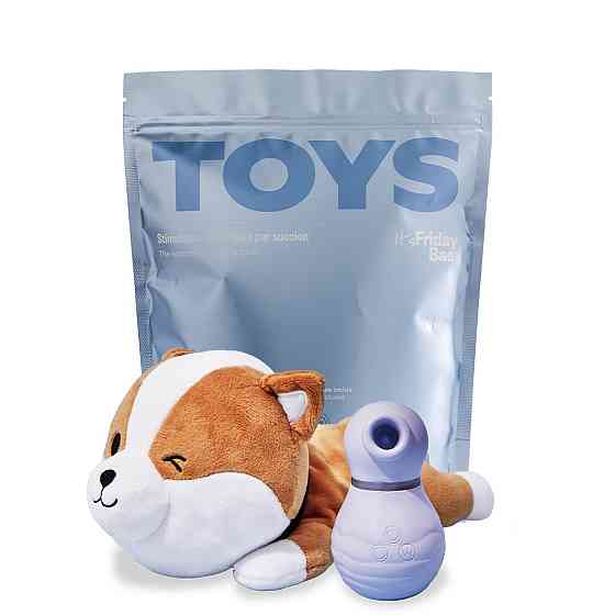 Вакуумный стимулятор для клитора TOYS+ с кейсом в виде собачки сиба-ину Friday Bae (Франция) Sex Aura Киев