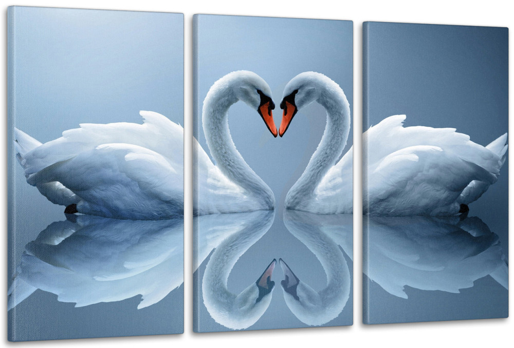 Модульная картина в гостиную / спальню  Лебеді    ART-025_3A 70х130 см Киев - изображение 1