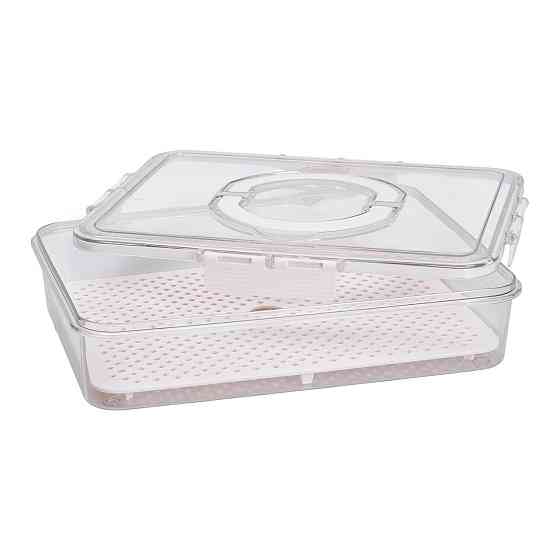 Контейнер для еды с ручкой 31х24х7 см пластиковый пищевой контейнер 2.5 л HP-27-10 Киев
