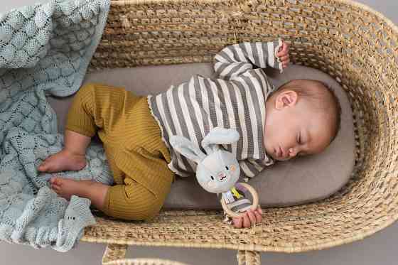 Брязкальце колекції Садочок у місті – Кролик Райлі Дніпро