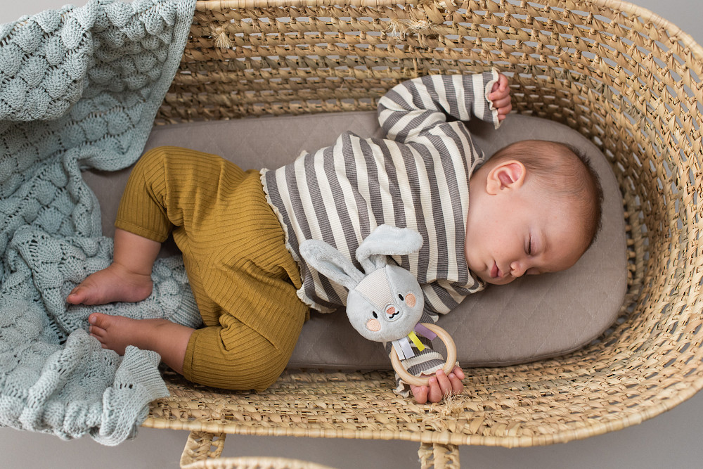 Брязкальце колекції Садочок у місті – Кролик Райлі Дніпро - фото 3