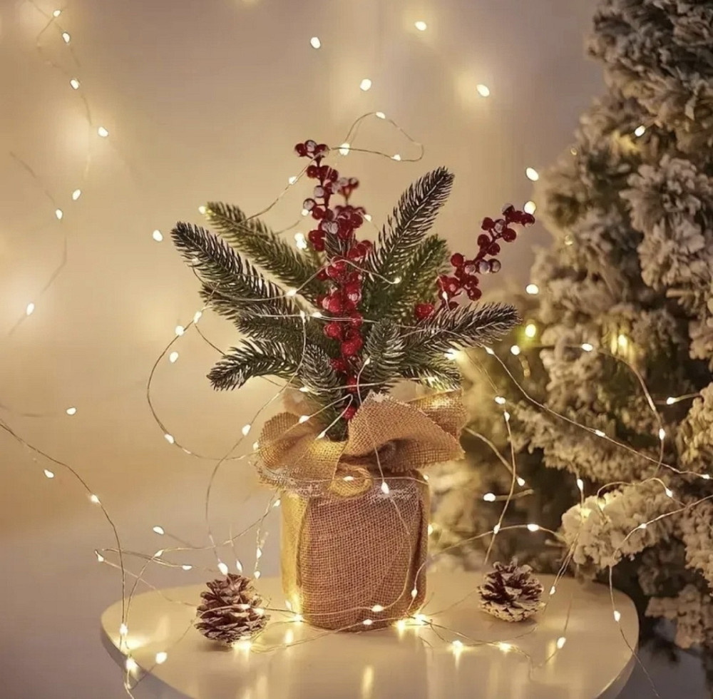 Гірлянда Роса 10 м 100 led з usb і пультом керування Теплий білий Смела - изображение 3