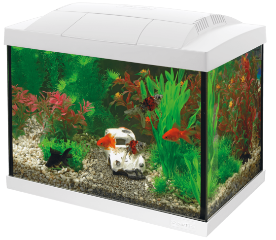 Акваріумний стартовий набір SuperFish Start 20 Aquarium Kit White (A4050269) Київ