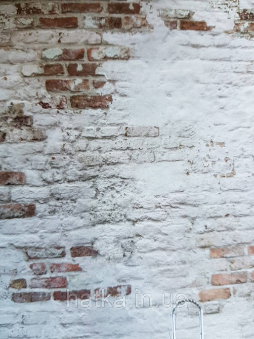 Шпалери вінілові Grandeco One roll one motif 2 EP6101 панно 3д під цеглу під штукатурку коричневий молочний Київ - фото 4