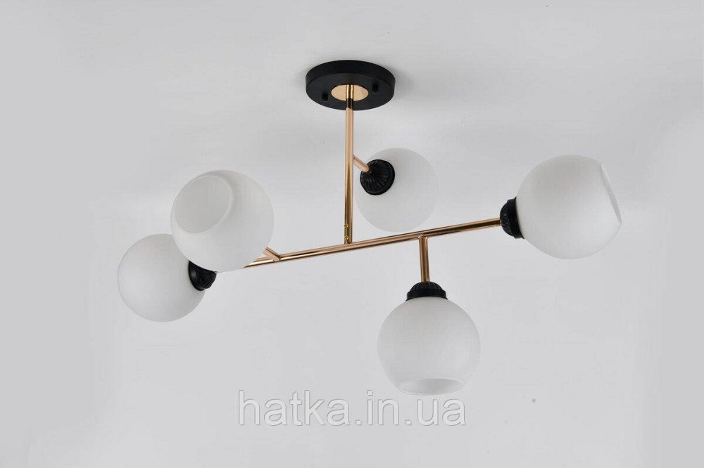 L0006-5 BK+FGD Київ - фото 1