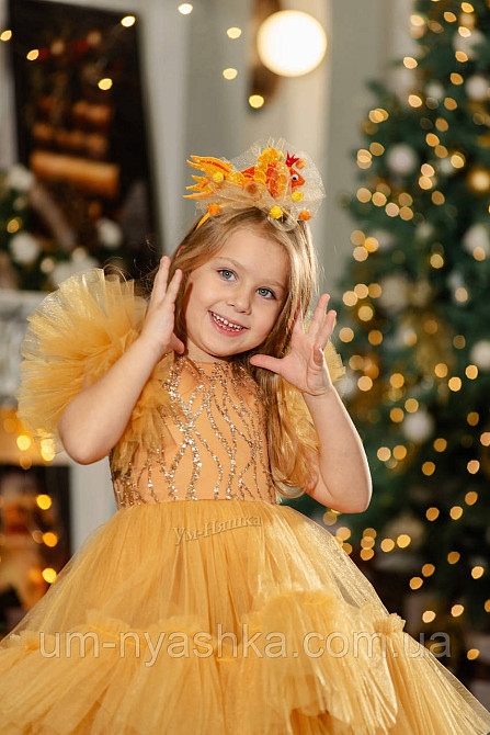 Костюм обідок Золотої рибки Кривий Ріг - фото 5