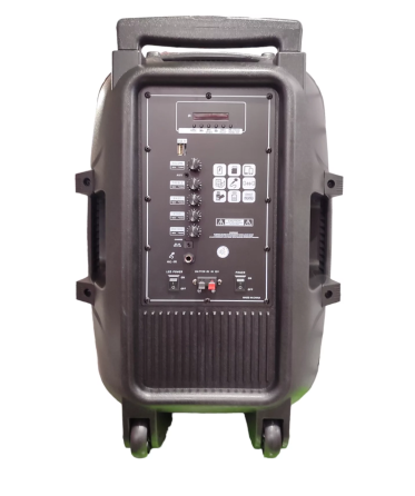 Професійна Bluetooth колонка NDR-A55 15-дюймова з бездротовим мікрофоном Київ