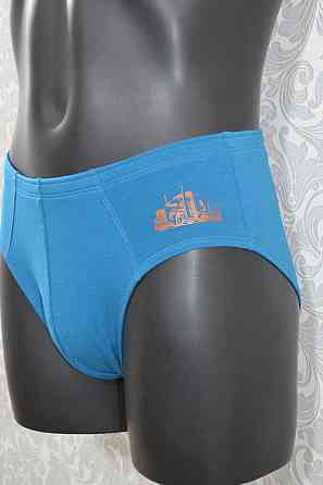 Труси чоловічі Класика Lans 02/024 3XL, Синій Київ