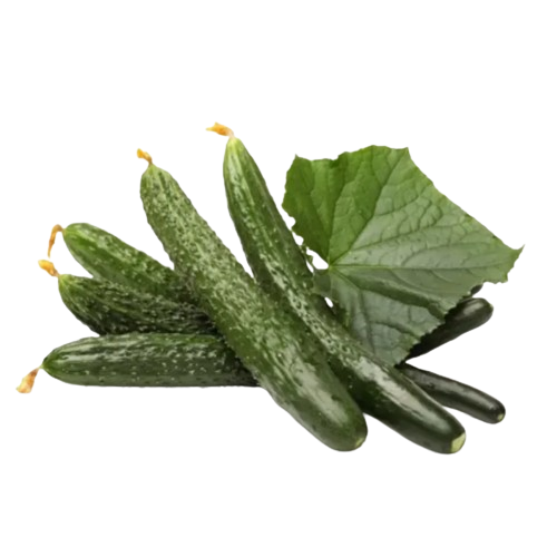 Огірок Китайське диво 0,5гр Смачний Житомир