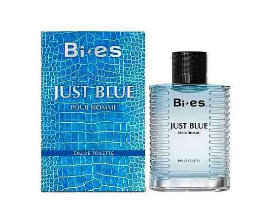 Туалетна вода д/чол Just Blue Pour Homme 100мл ТМ Bi-es Київ