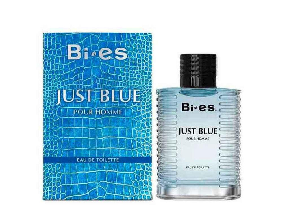 Туалетна вода д/чол Just Blue Pour Homme 100мл ТМ Bi-es Київ - фото 1