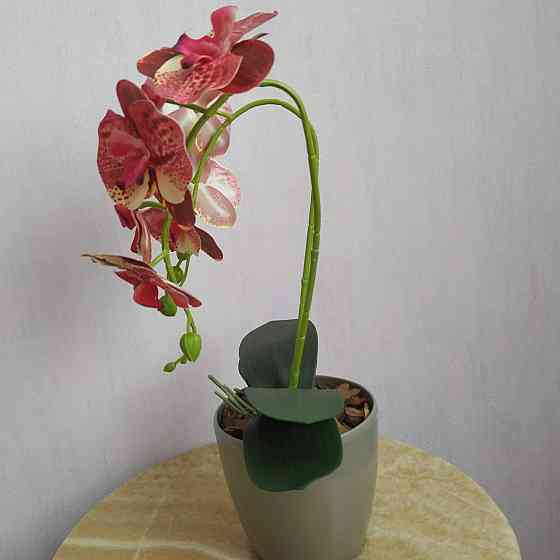 Штучна латексна міні орхідея в сірому пластиковому кашпо на дві гілки жовто-малинова Дніпро