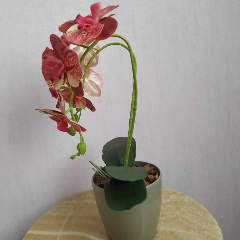 Штучна латексна міні орхідея в сірому пластиковому кашпо на дві гілки жовто-малинова Дніпро - фото 2