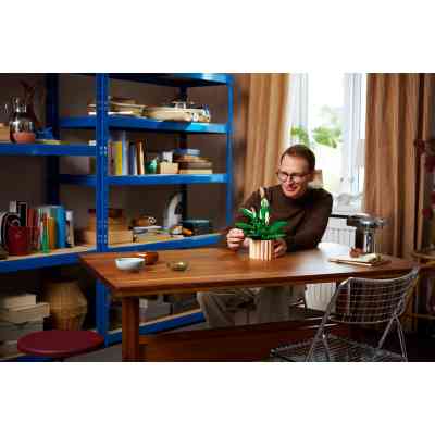 Конструктор LEGO Botanicals Спатифиллум (11504) Винница