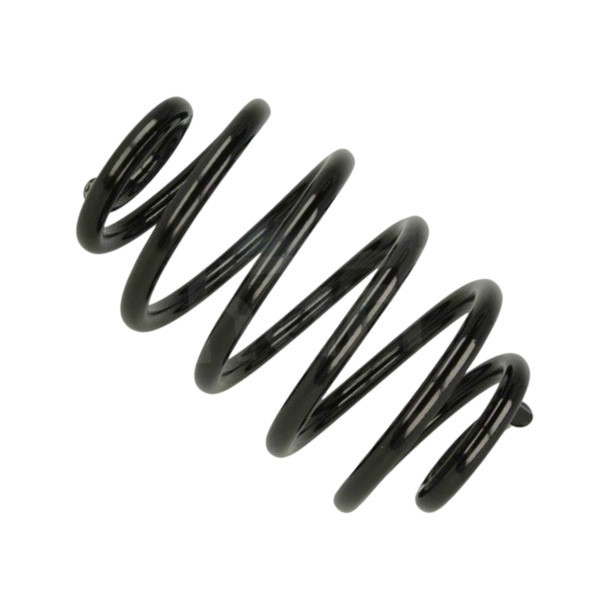 Пружина Рено Clio II 98- задня Мукачево - фото 1