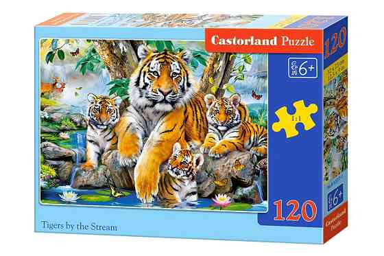 Пазлы Castorland 120 midi, шт Київ