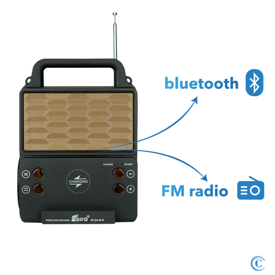 Солнечная зарядная система Solar FP-05WSL + 2 фонаря + радио + Bluetooth + беспроводная зарядка Винница