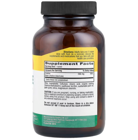 Холін Country Life Choline 100 таб Київ