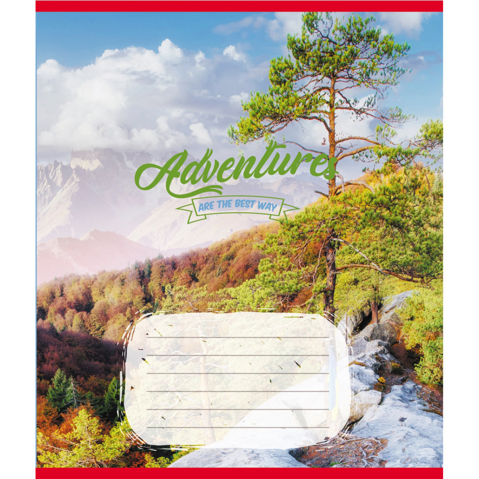 Тетрадь ученическая 