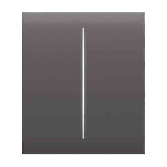 Кнопка Ajax CenterButton (2-gang) grey для двоклавішного вимикача Киев