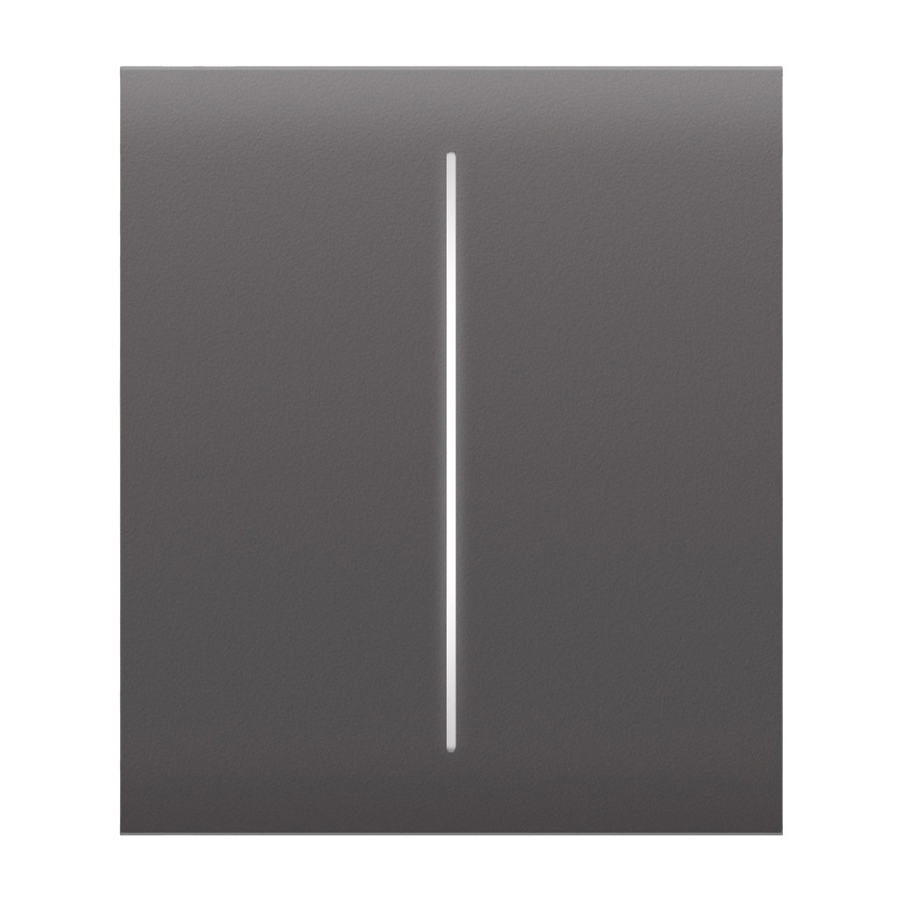 Кнопка Ajax CenterButton (2-gang) grey для двоклавішного вимикача Киев - изображение 1