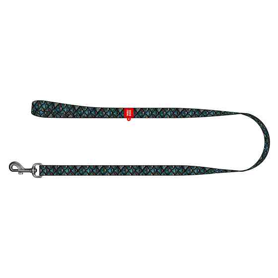 Поводок для собак нейлоновый WAUDOG Nylon, рисунок 