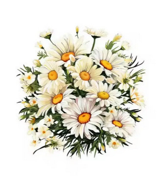 Термонаклейка для одягу красива Ромашки Київ - фото 1